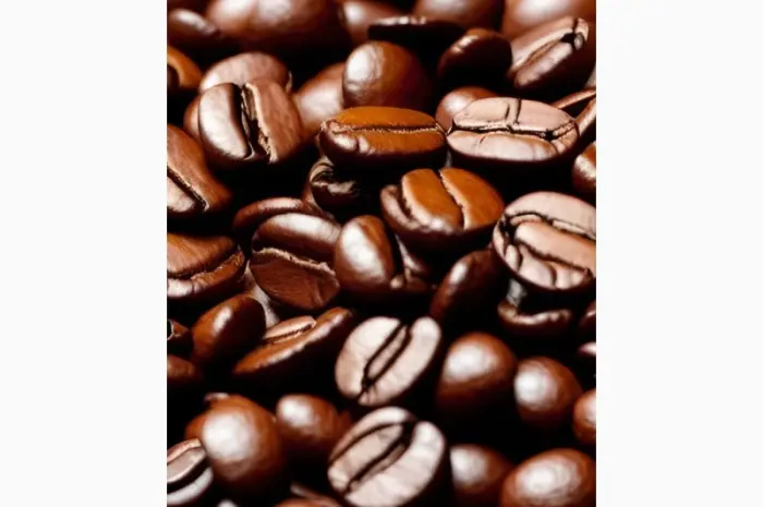 Кофе LAVAZZA Gusto Forte в зернах- фото № 1