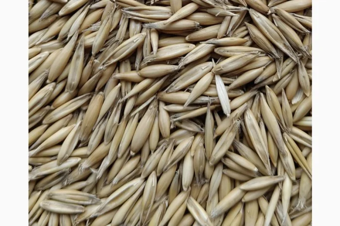 Продается солод (malt) житний, кукурузный и овсяный- фото № 6