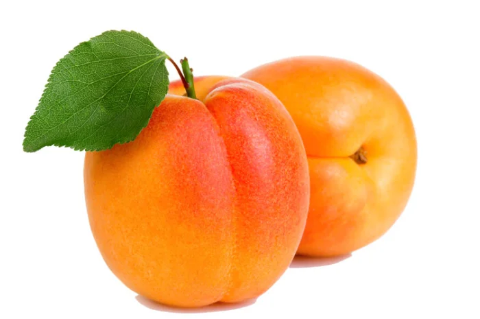 Куплю абрикосы для переработки- фото № 1