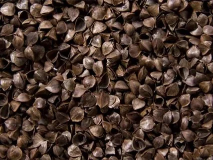 Пропонується лузга гречихи в мішках по 10 кг- фото № 1