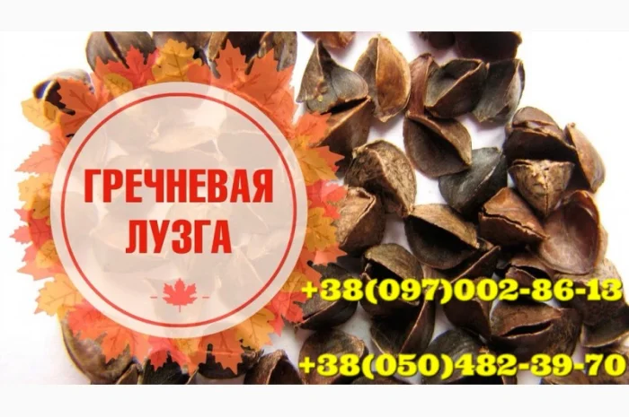 Пропонується лузга гречихи в мішках по 10 кг- фото № 2