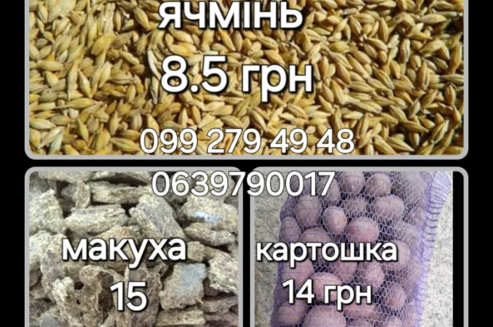 Ячмінь, картопля, сіль та інші товари- фото № 1