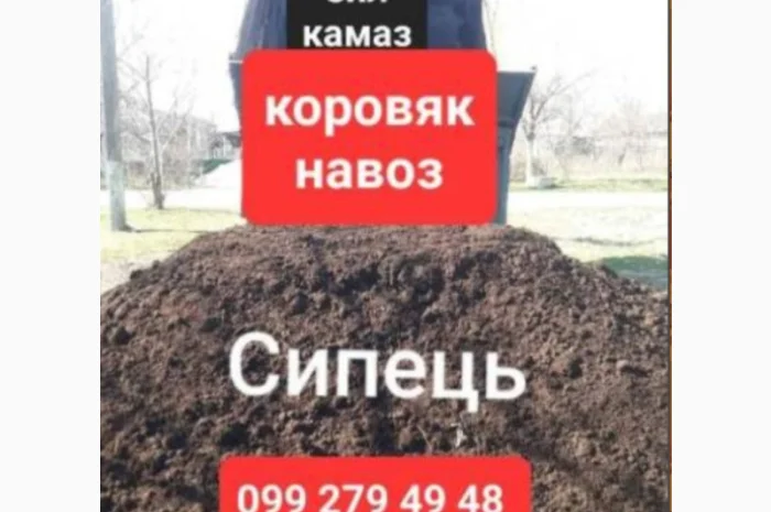 Ячмінь, картопля, сіль та інші товари- фото № 4