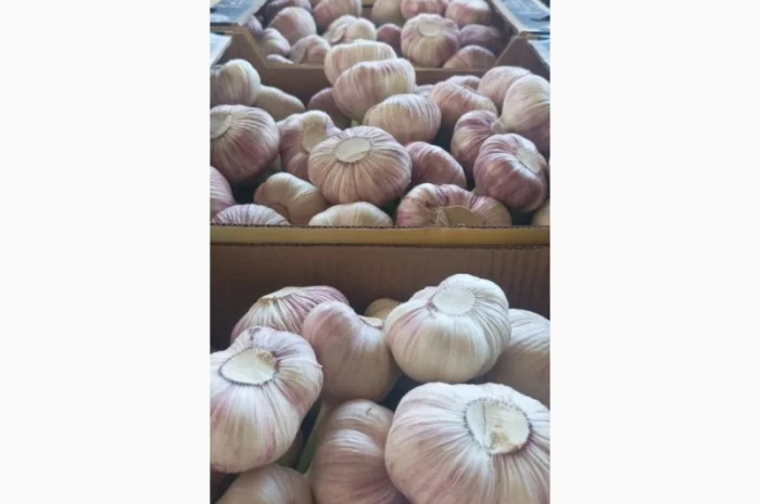 Фрукты и овощи из Египта- фото № 2