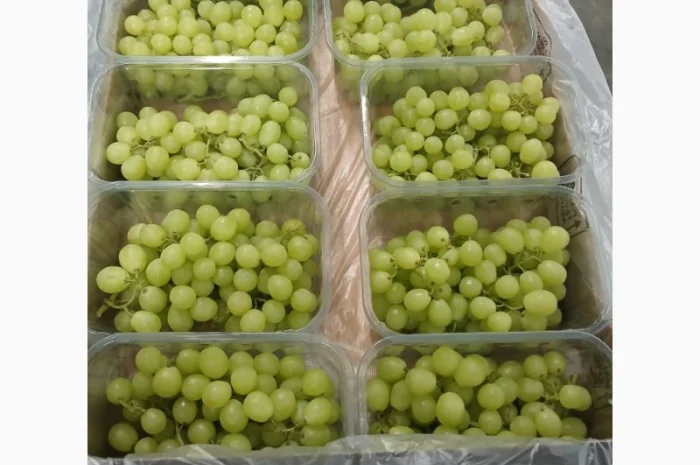 Фрукты и овощи из Египта- фото № 4