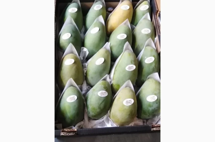 Фрукты и овощи из Египта- фото № 5