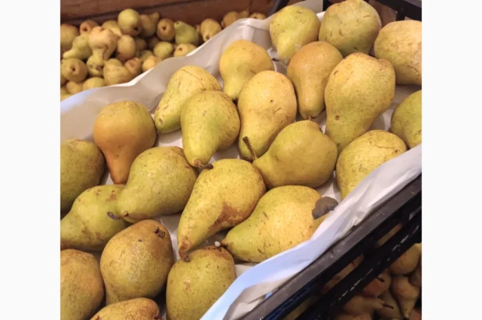 Пропонується груша Нояберська- фото № 1