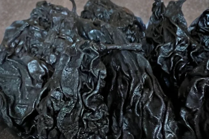 Продается сушеная груша сорта Ноябрская- фото № 4