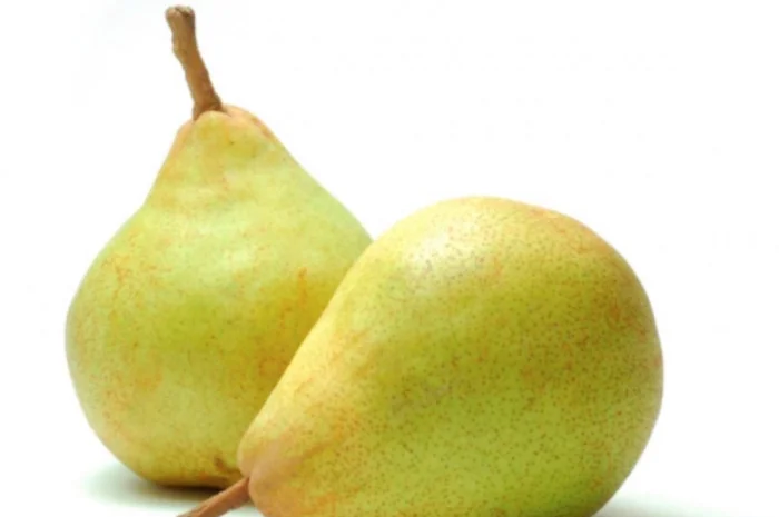 Куплю грушу для переработки- фото № 1