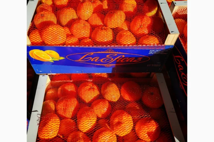 Пропонуємо свіжі мандарини від виробників- фото № 1