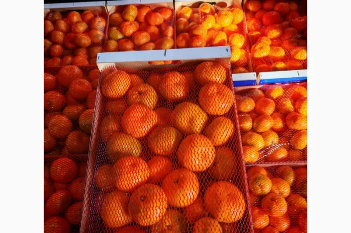 Пропонуємо свіжі мандарини від виробників- фото № 2