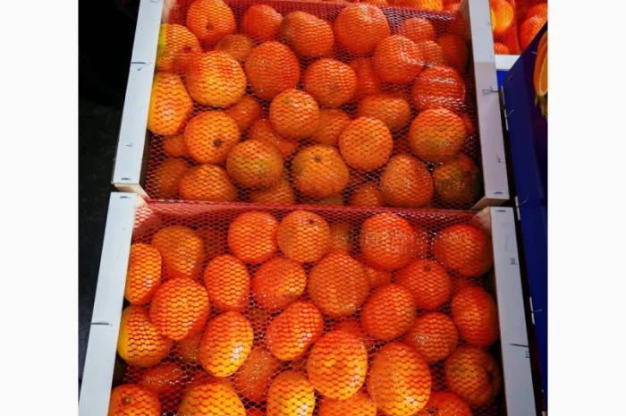 Пропонуємо свіжі мандарини від виробників- фото № 3