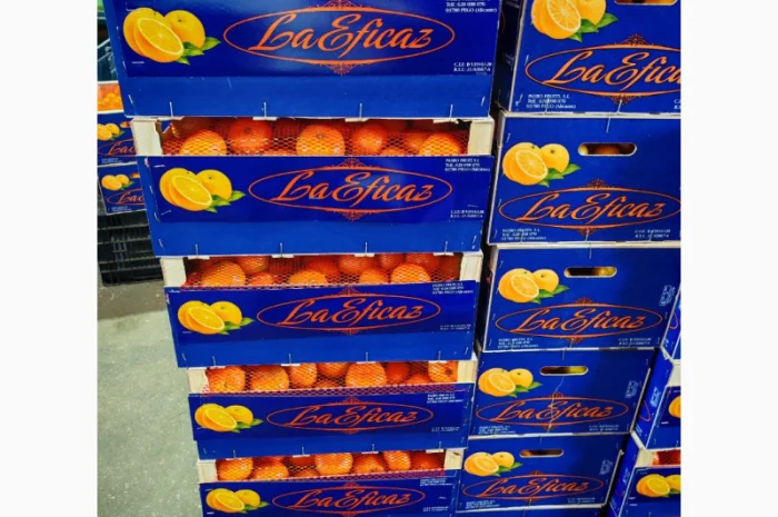 Пропонуємо свіжі мандарини від виробників- фото № 5