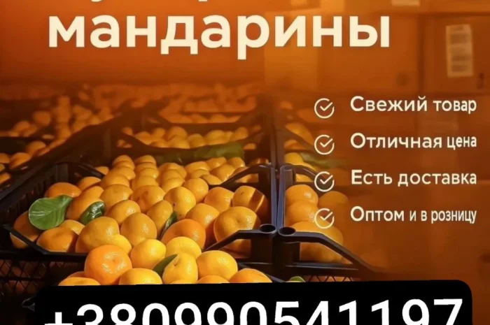 Продаются мандарины оптом- фото № 1