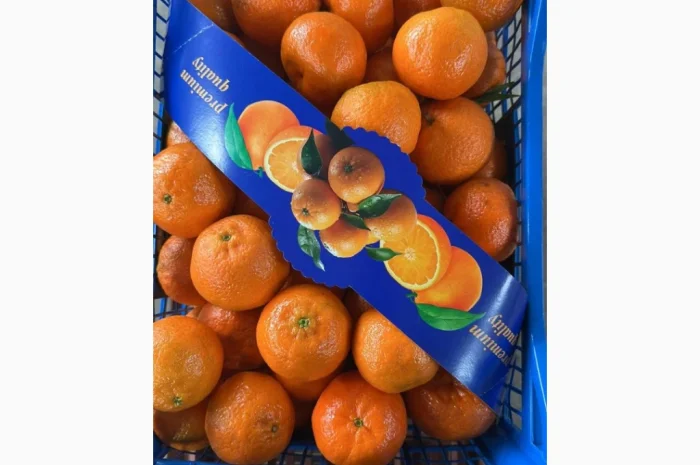 Продаж елітних мандаринів Клементин- фото № 2