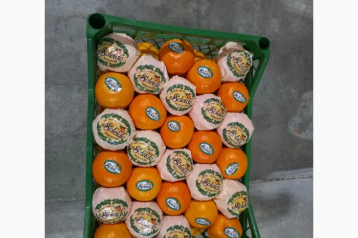Мандарины из Турции- фото № 1