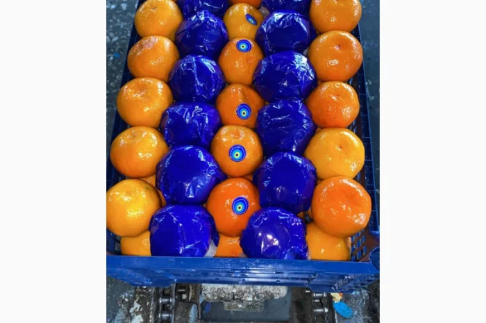 Мандарины из Турции - Прямые поставки- фото № 2