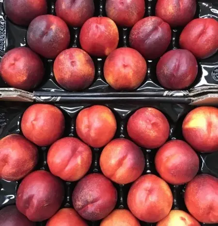 Продаж нектаринів з Іспанії- фото № 1