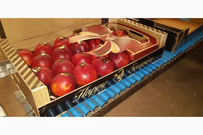 Продажа нектаринов из Испании- фото № 2