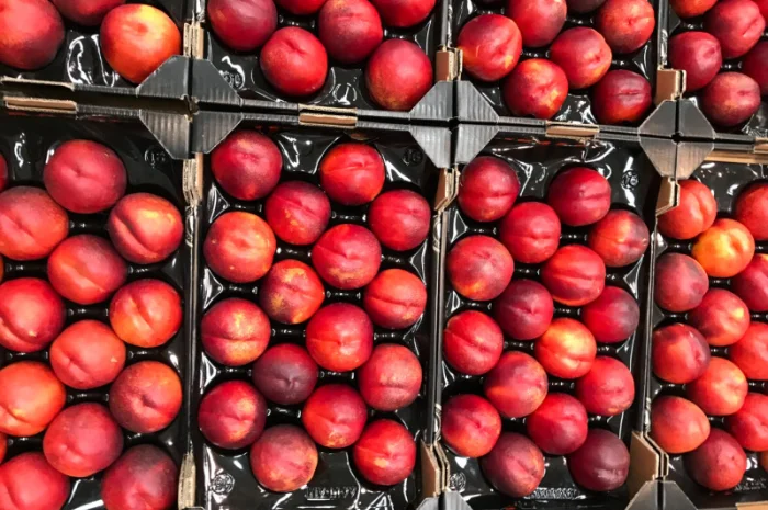 Продажа нектаринов из Испании- фото № 3