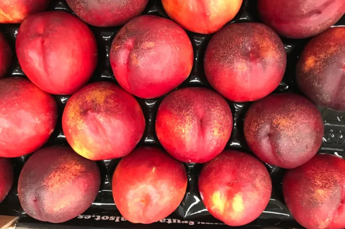 Продажа нектаринов из Испании- фото № 5