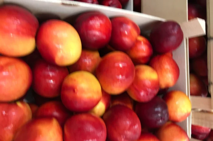 Продажа нектаринов из Испании- фото № 6
