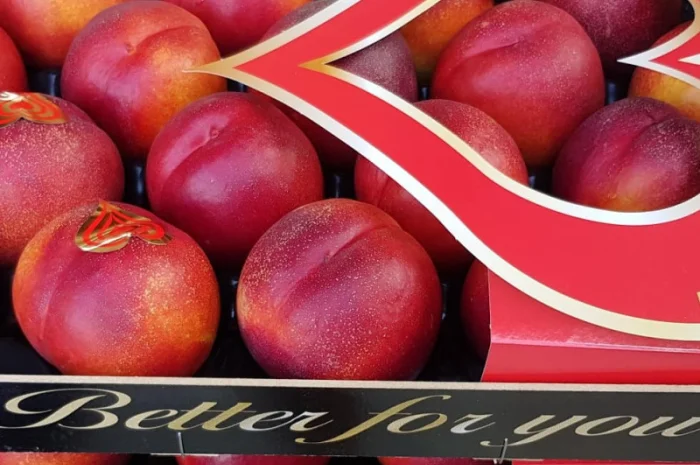 Продажа нектаринов из Испании- фото № 7