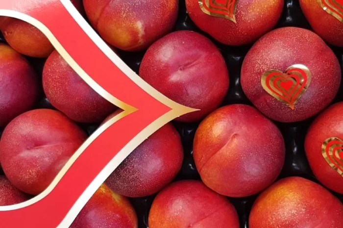 Продажа нектаринов из Испании- фото № 8