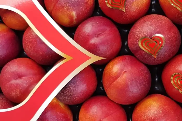 Продаж нектаринів з Іспанії- фото № 8