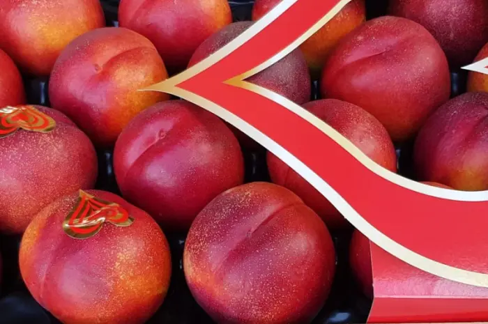 Продаж нектаринів з Іспанії- фото № 9