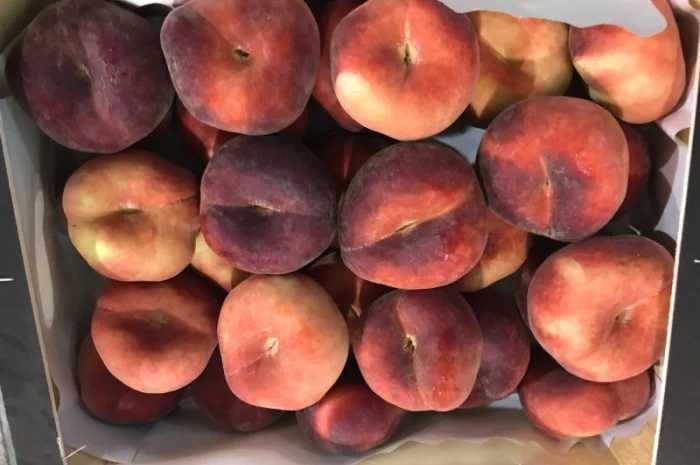 Продаем плоский персик из Испании- фото № 10