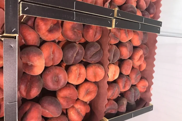 Продаем плоский персик из Испании- фото № 9