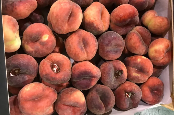 Продаем плоский персик из Испании- фото № 13