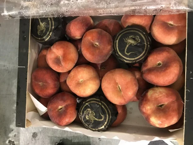 Продаем плоский персик из Испании- фото № 12