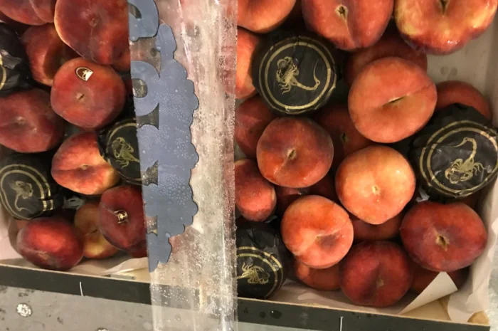 Продаем плоский персик из Испании- фото № 11