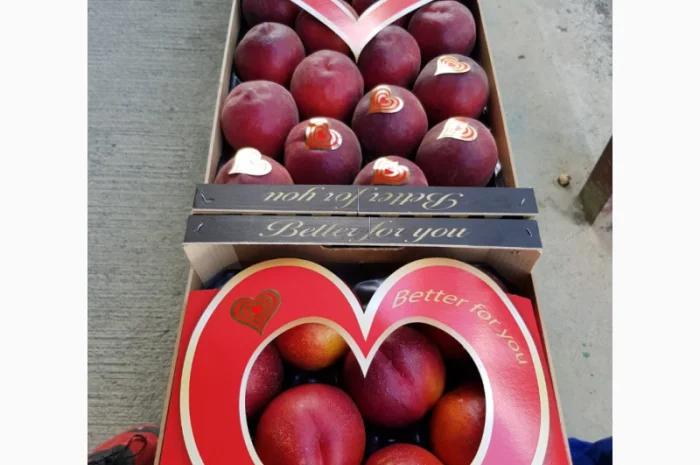 Свежие персики из Испании- фото № 12