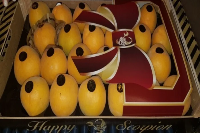 Свежие персики из Испании- фото № 4