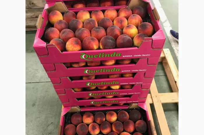 Свежие персики из Испании- фото № 5