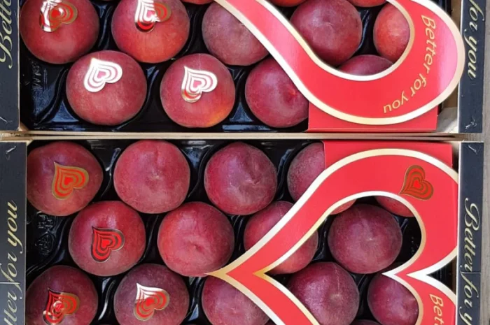 Свежие персики из Испании- фото № 7