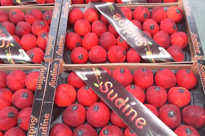 Свежие персики из Испании- фото № 8