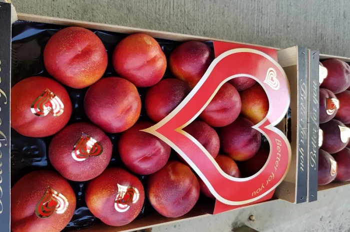 Свежие персики из Испании- фото № 9
