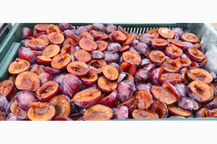 Заморожена слива без кісточки- фото № 1