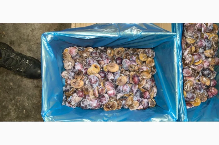 Слива без кісточок на продажу- фото № 3