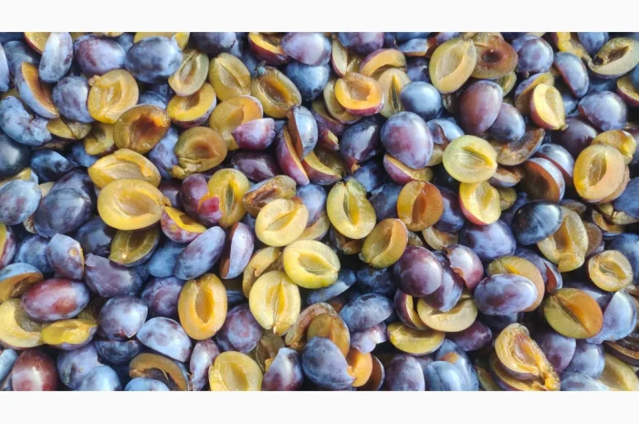 Заморожена слива без кісточки- фото № 1