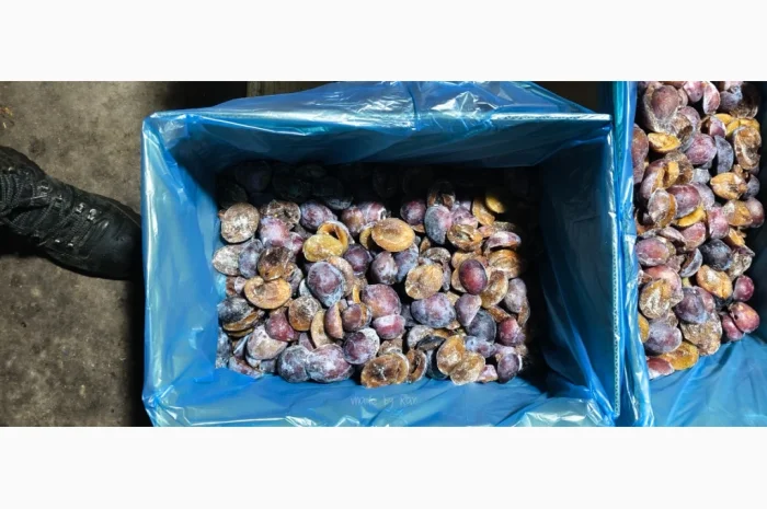 Слива без кісточок заморожена, упаковка 10 кг- фото № 2