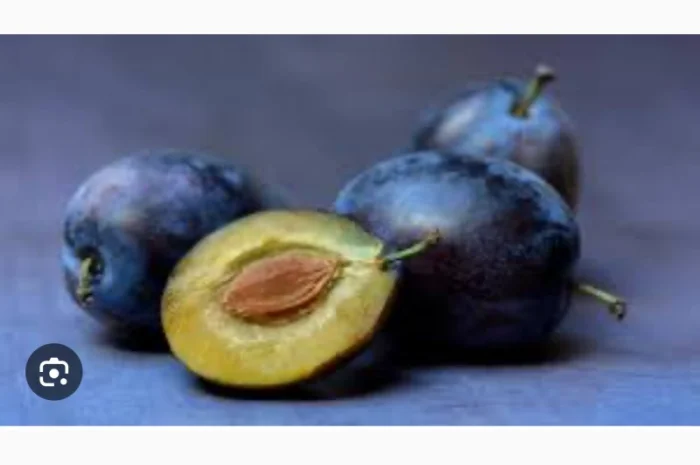 Куплю сливу для переробки- фото № 1