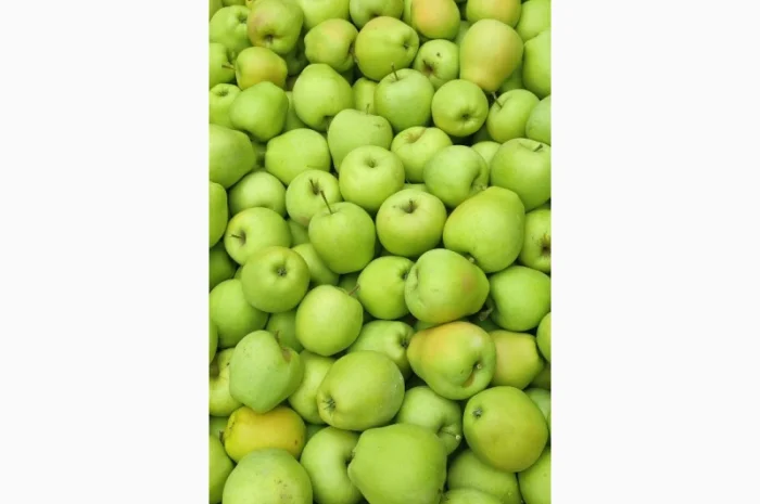 Продам яблука- фото № 11