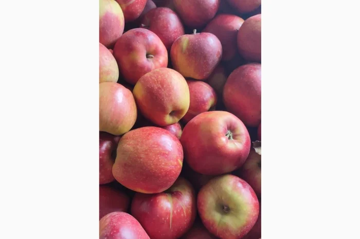 Продам яблука- фото № 8