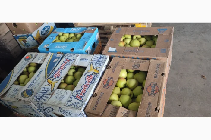 Продам яблука- фото № 5