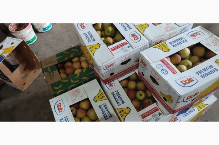 Продам яблоки- фото № 15